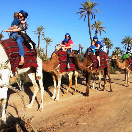 Camel ride